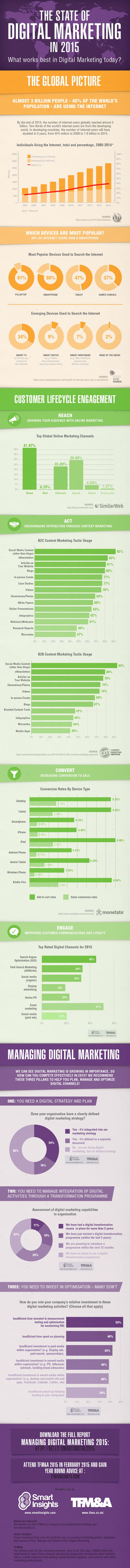 digital marketing insights infographic